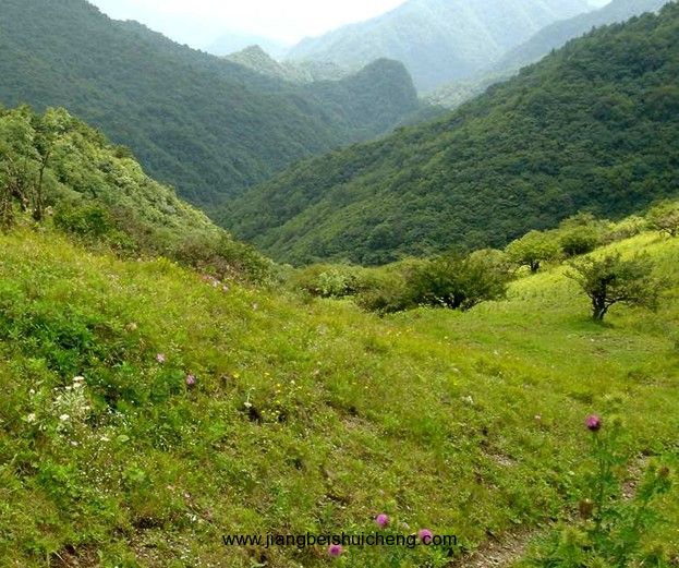 【走遍中國·景點篇】秦嶺